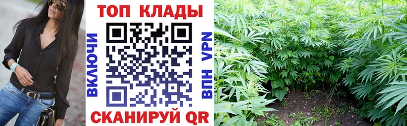 Продажа наркотиков Сковородино COCAIN  Мефедрон  Гашиш  АМФ  Канабис 