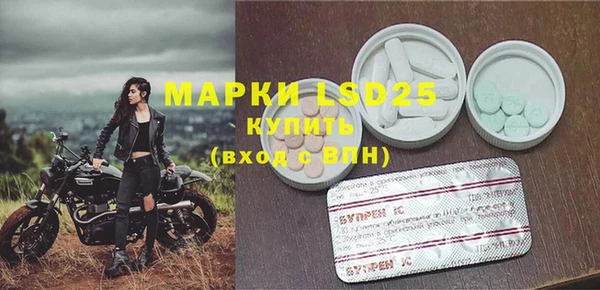 PSILOCYBIN Белоозёрский