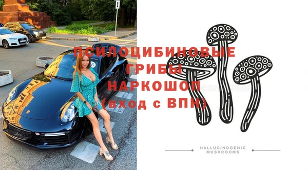 каннабис Белокуриха