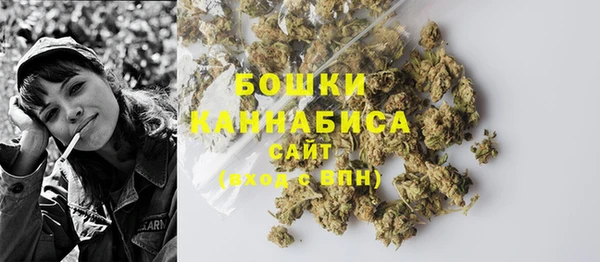 PSILOCYBIN Белоозёрский