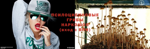 дурь Беломорск