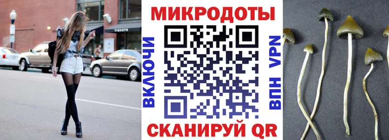 как найти Сковородино ОМГ ОМГ как зайти Галлюциногенные грибы прущие грибы